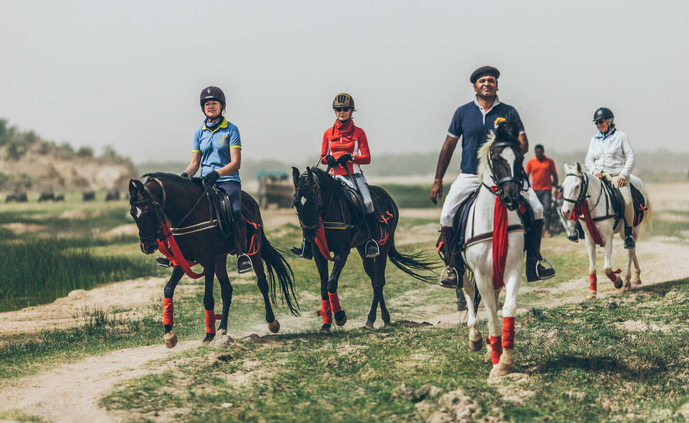 <span style="font-weight: bold;">Trailrides </span>