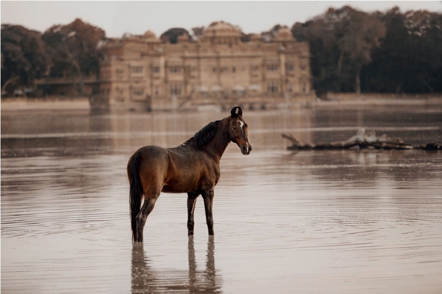 <span style="font-weight: bold;">Fundrising </span>